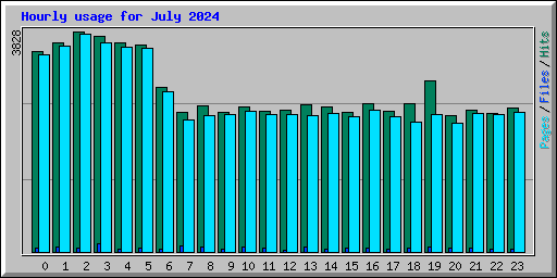 Hourly usage for July 2024