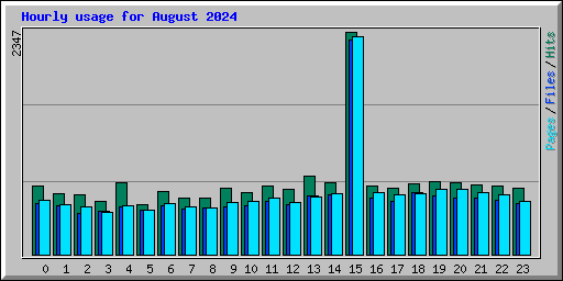 Hourly usage for August 2024