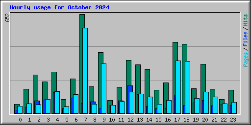 Hourly usage for October 2024