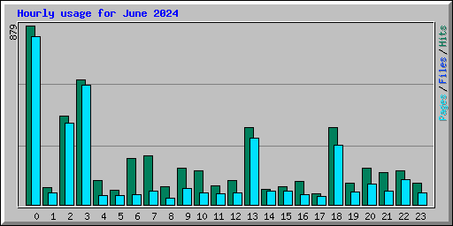 Hourly usage for June 2024